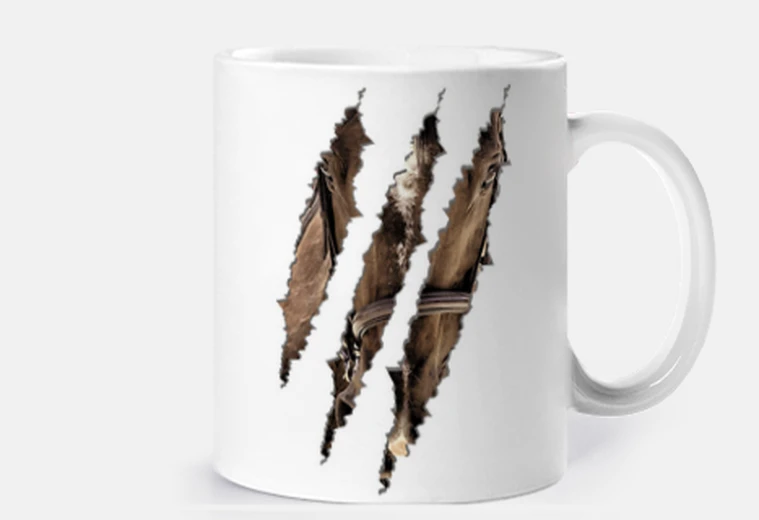 Cup torn scratch horse face head
