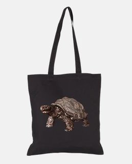 tortoise