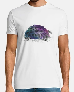 tortue cosmique 4
