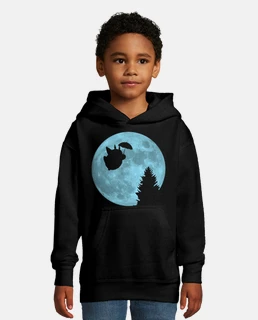 totoro che vola sotto il l una