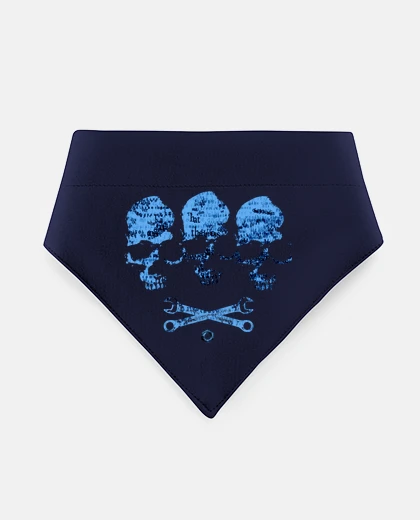 Mascotas trio calavera azul