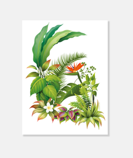 tropical / flowers / plants