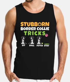 trucs de border collie têtus je chien