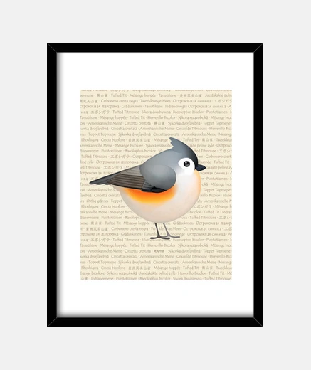 Quadro tufty baeolophus