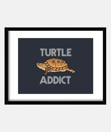Framed turtle addict collect turtles