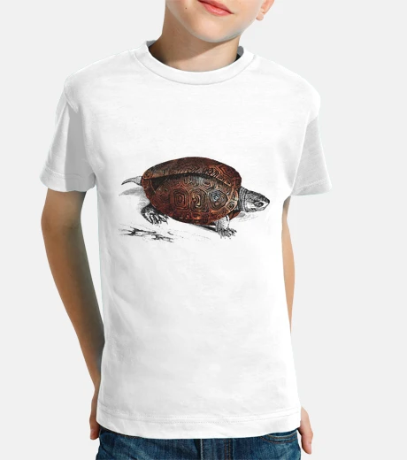 Abbigliamento turtle cosmica 1