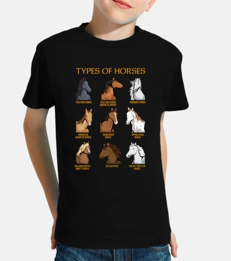 Kids types of horses horse lovers horse riding animals in english