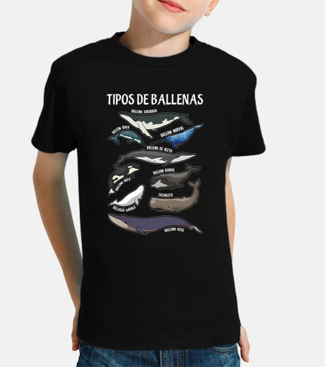 Ropa types of whales illustrations spanish