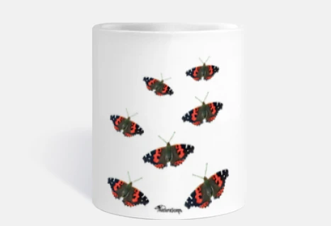 Vanessa butterflies