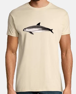 vaquita (sinus de phocoena) t