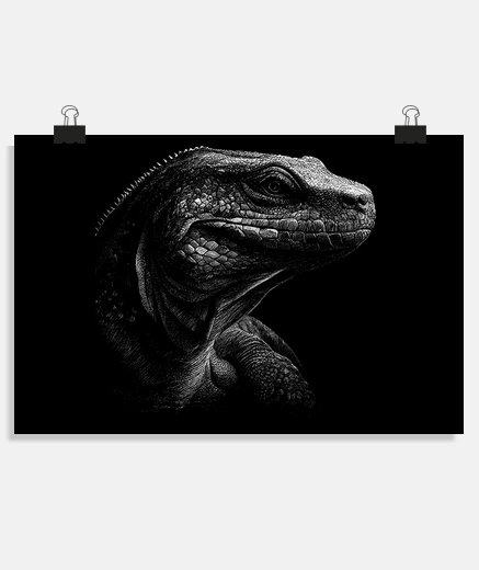 Poster VARAN komodo dragon realiste affiche poster  decoration 