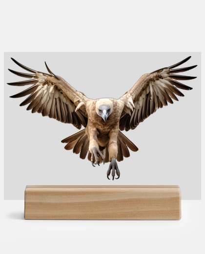 Metacrilato vautour