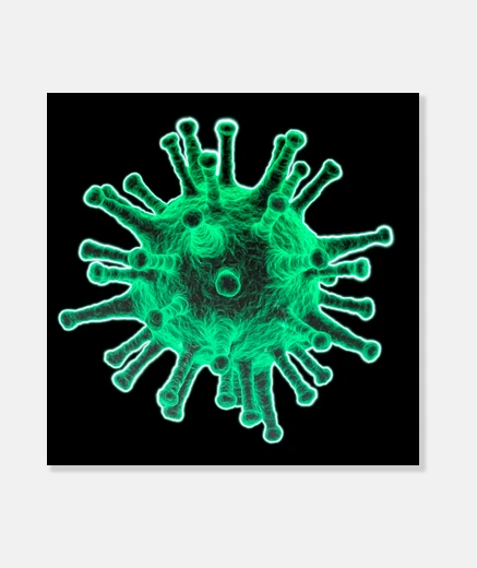 Wall virus
