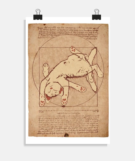 Poster vitruvian cat