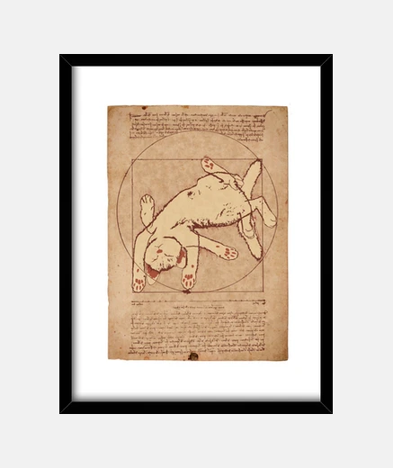 Framed vitruvian cat