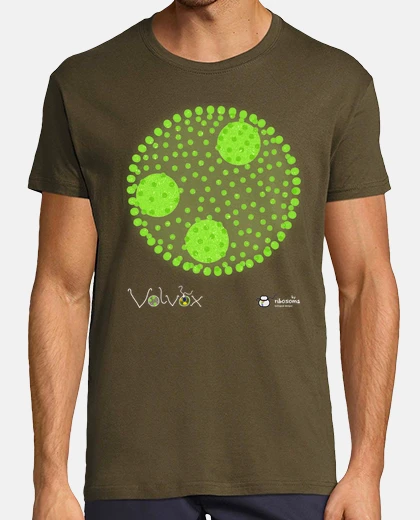 T-shirt volvox