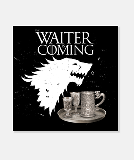waiter is coming - series