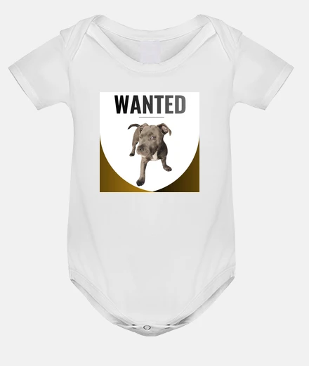 Kids want staffie