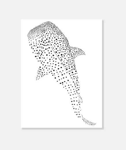Wall whale shark