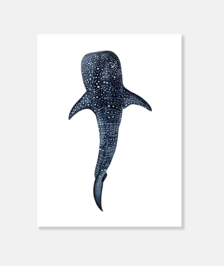 Wall whale shark