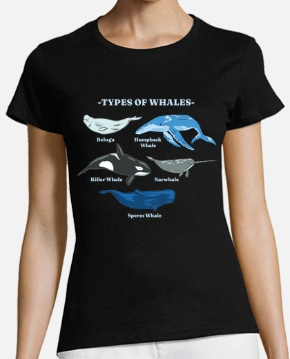 whales different types blue beluga