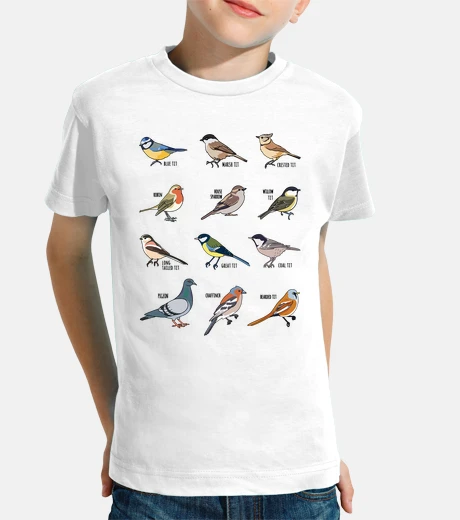 Kids Wildlife Bird Collection   Birdwatching