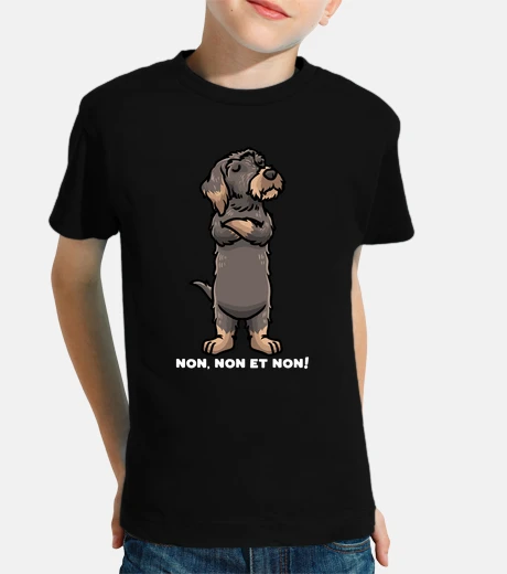 Kids wirehaired dachshund dog