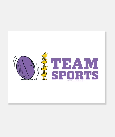 Stampa wood Stock Team S per TS