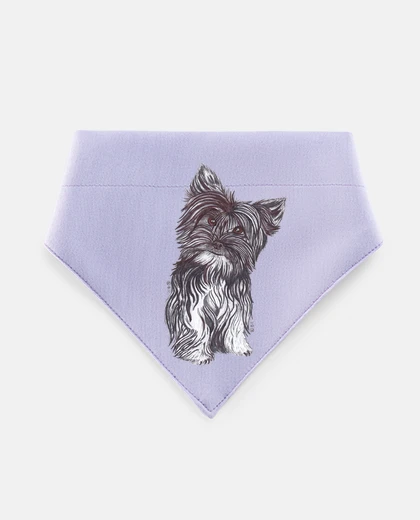 Mascotas Yorkshire Terrier