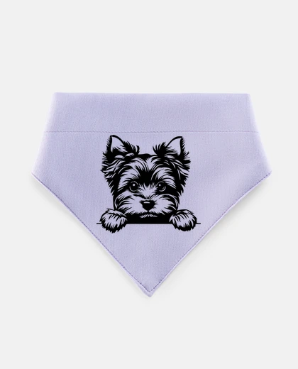 Mascotas yorkshire terrier cute puppy