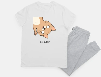 You Awake Funny Cat Meme