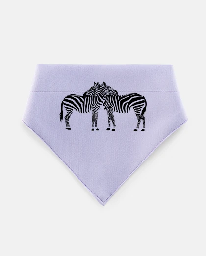 Mascotas zebra friendship