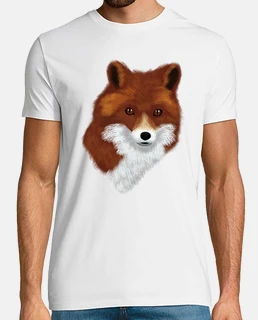 zorro