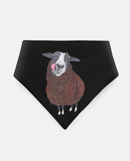 Mascotas zwartbles sheep